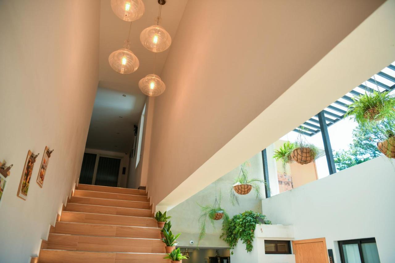 Hotel Kaleo Boutique San Salvador
