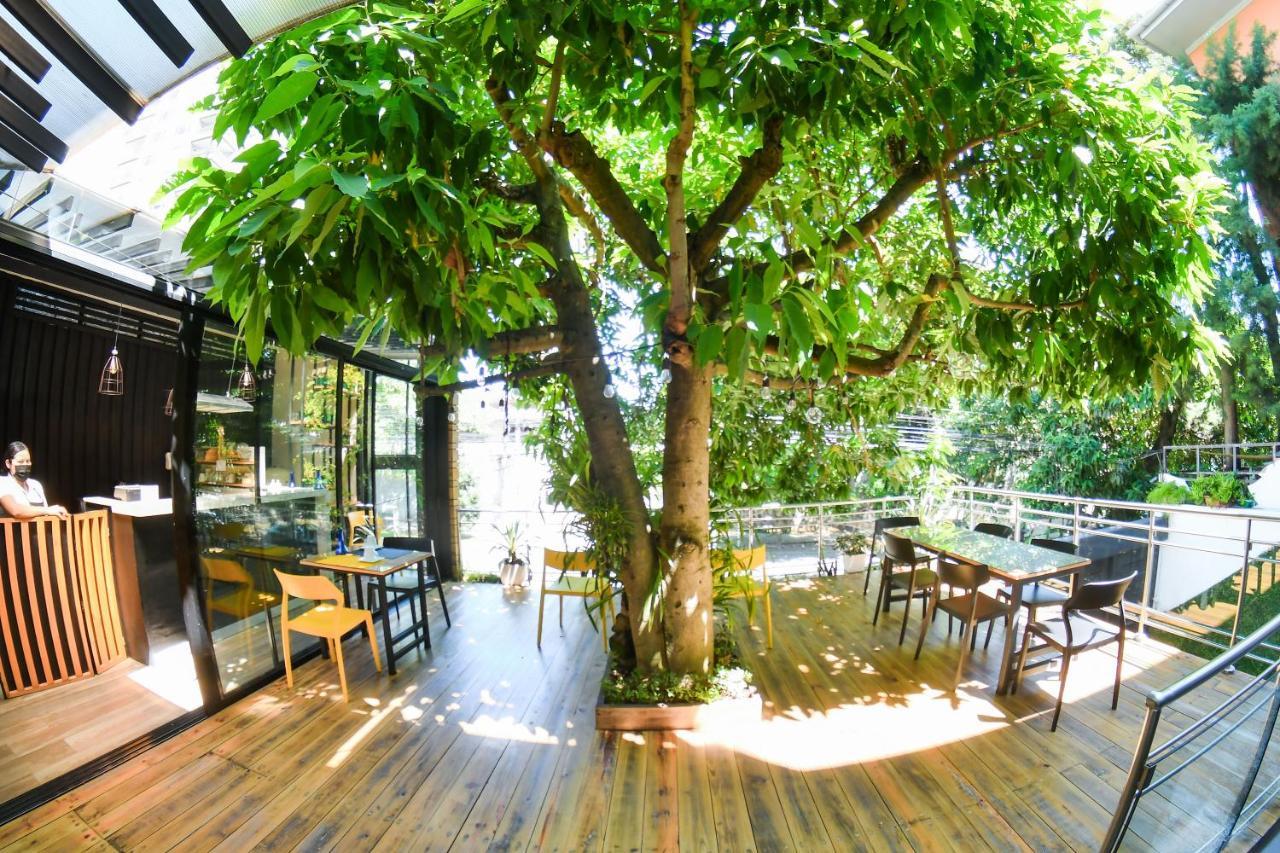Kaleo Boutique Hotel San Salvador